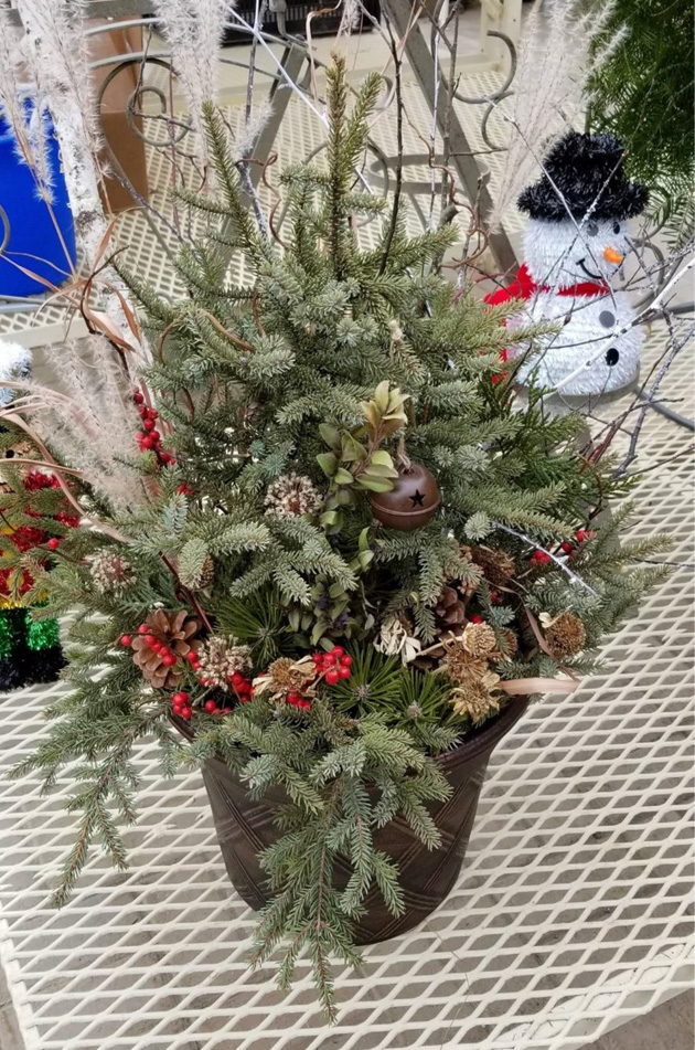 Winter Planter Workshop at Flying W Gardens